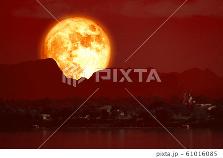 Super Beaver blood Moon back on mountain and 61016085