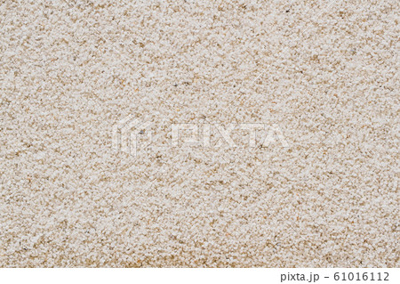砂浜　背景素材 61016112