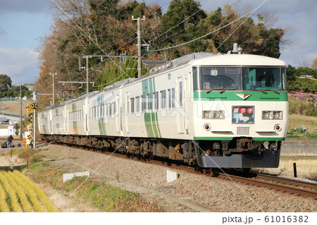 伊豆箱根鉄道駿豆線を行くJR東日本185系特急踊り子号 61016382