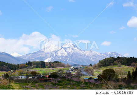 冠雪の妙高山 冠雪の妙高山 61016888