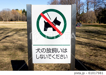 犬の放し飼い禁止の看板 61017981