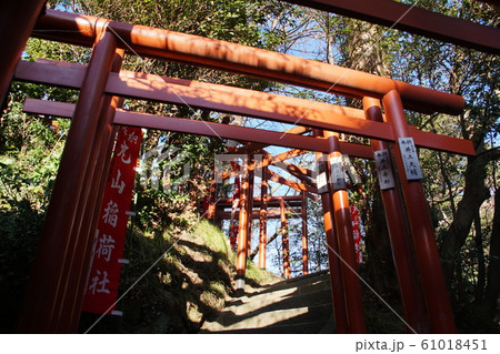 鶴岡八幡宮「丸山稲荷社」 61018451