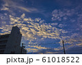 秋の空 61018522
