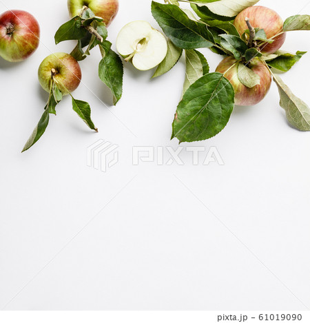 Fresh organic apples border, flat lay, space for your text 61019090