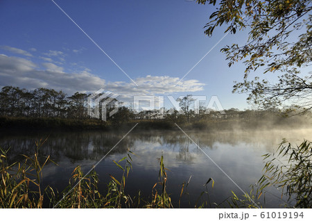 釧路川 61019194