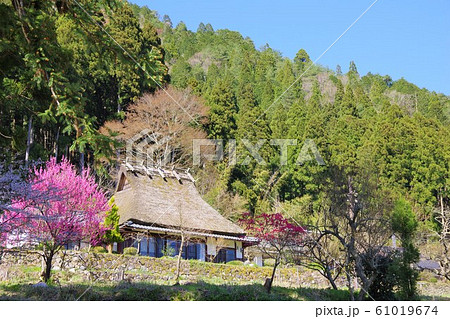 京都 南丹市 美山かやぶきの里 京都 南丹市 美山かやぶきの里 61019674