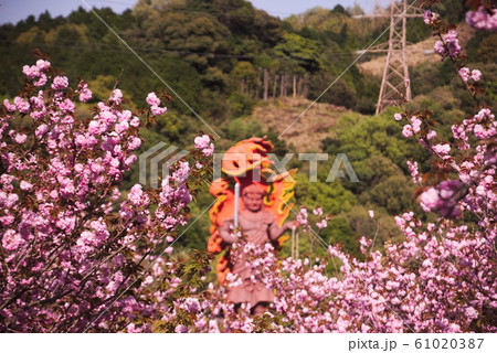 大分市 一心寺の写真素材