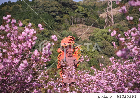 大分市 一心寺の写真素材