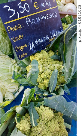 ロマネスコ 61021028