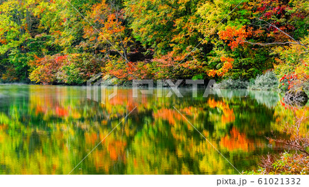 妙高・仙人池の紅葉 61021332
