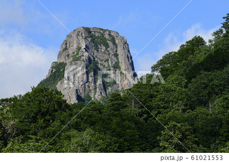 縫道石山 61021553