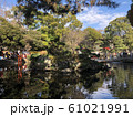 自然 61021991
