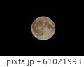 満月 61021993