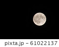 満月 61022137