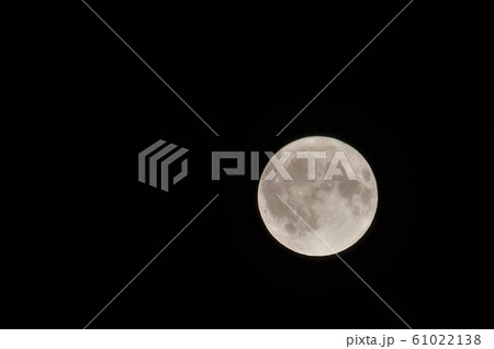 満月 満月 61022138