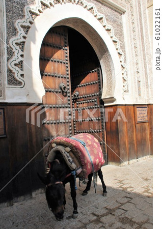 モロッコ、フェズ、メディナ、荷物運びのロバ 61022161