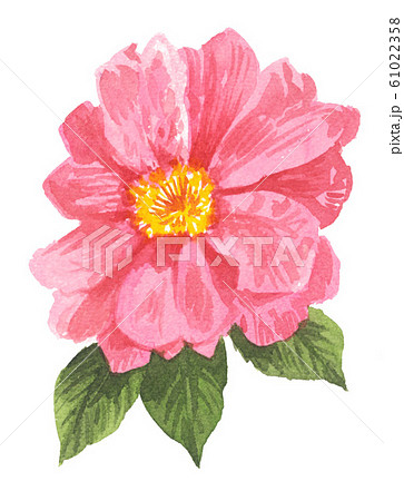 sazanka20102pix7 61022358