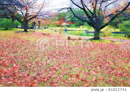 旧芝離宮恩賜庭園 桜の木の落ち葉 12月 のイラスト素材