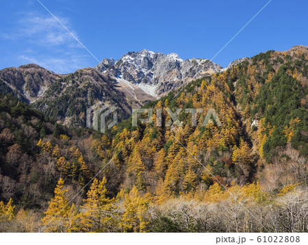前穂高岳とカラマツの紅葉 前穂高岳とカラマツの紅葉 61022808