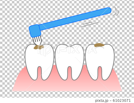 タフトブラシ歯磨き　食べ残し 61023071