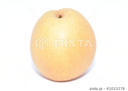 梨・王秋 61023276