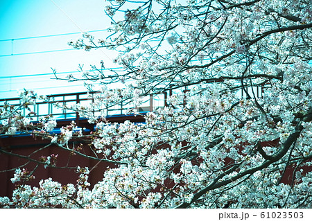 別府市　境川 61023503