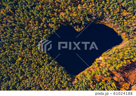 Aerial view of forest lake in a shape of heart. Romantic love pond hidden place in autumn woods 61024188