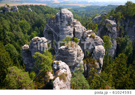View of the high rock surrounded by a dense forest 61024593