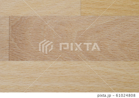 Detailed photo of the structure of natural beech Detailed photo of the structure of natural beech 61024808