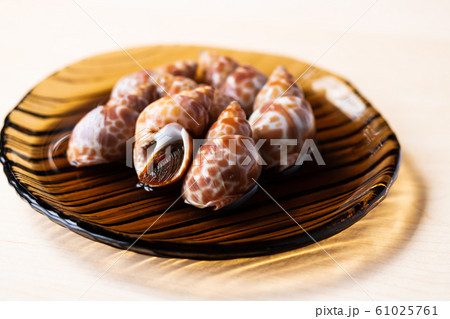 ばい貝煮付け 61025761