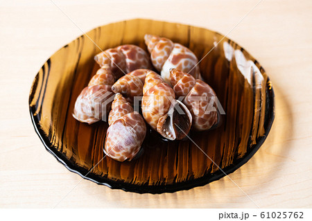 ばい貝煮付け 61025762