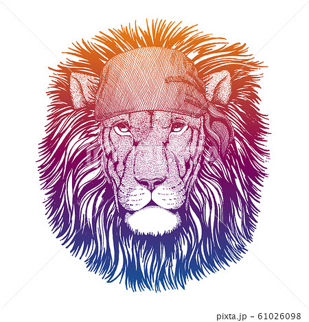 Lion. Wild pirate or biker. Vector animal portrait. Sailor, motorcyclist. Print for children clothing, tee. Kids fashion. Lion. Wild pirate or biker. Vector animal portrait. Sailor, motorcyclist. Print for children clothing, tee. Kids fashion. 61026098