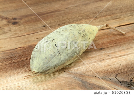 Baobab fruit, Adamsonia digitata, on the wooden Baobab fruit, Adamsonia digitata, on the wooden 61026353