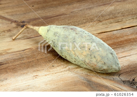 Baobab fruit, Adamsonia digitata, on the wooden Baobab fruit, Adamsonia digitata, on the wooden 61026354