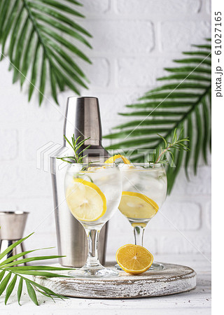 Gin tonic cocktail with lemon Gin tonic cocktail with lemon 61027165