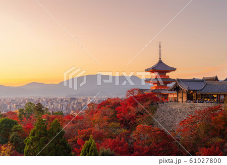 Kiyomizu Dera Pagoda Temple with red maple leaves Kiyomizu Dera Pagoda Temple with red maple leaves 61027800