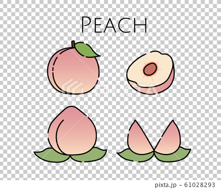 Peach Stock Illustration