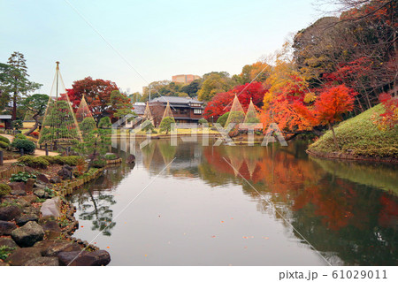 肥後細川庭園の紅葉（12月）東京都文京区 61029011