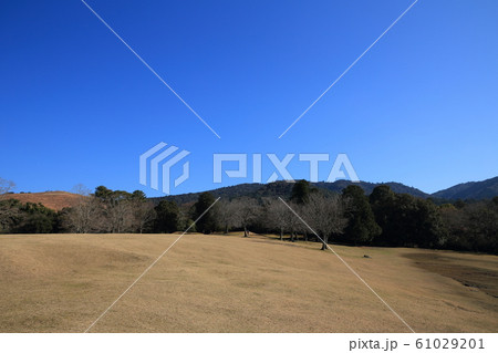 奈良公園　飛火野　芝　横構図 61029201