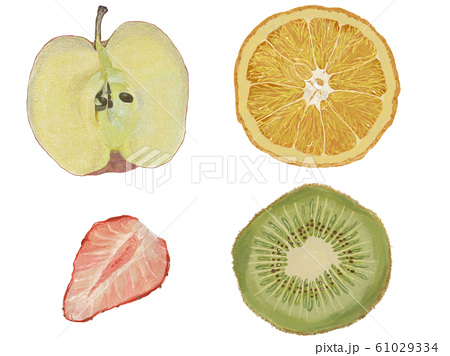 果物断面 りんご オレンジ いちご キウイ のイラスト素材