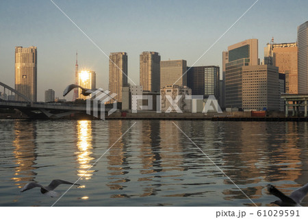 東京湾 61029591