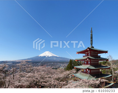 富士山 桜 五重塔 富士山 桜 五重塔 61030233