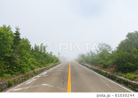 濃霧の道路風景 濃霧の道路風景 61030244