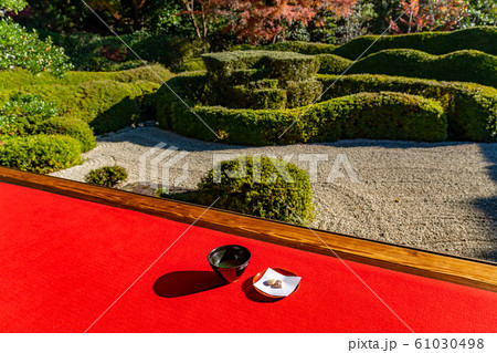 滋賀県　紅葉の大池寺　枯山水の蓬莱庭園を眺めながら抹茶をいただく 61030498