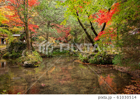 三重県 いなべ 紅葉の名所 聖宝寺の浄土池 三重県 いなべ 紅葉の名所 聖宝寺の浄土池 61030514
