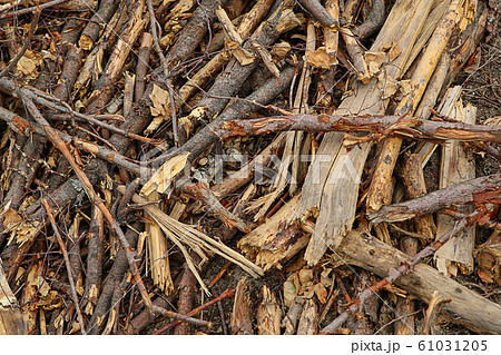 beaver dam made of wood stick pattern dark brown beaver dam made of wood stick pattern dark brown 61031205