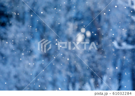 霧氷の森 61032284
