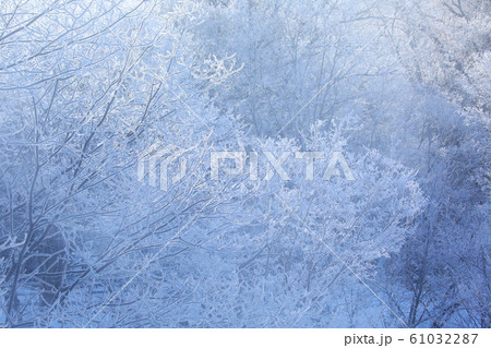 霧氷の森 61032287