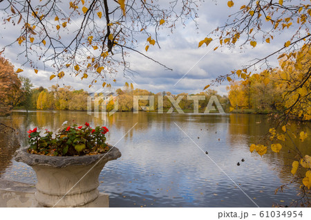 beautiful pond in the park beautiful pond in the park 61034954