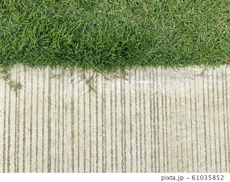 Concrete walkway with green grass Concrete walkway with green grass 61035852